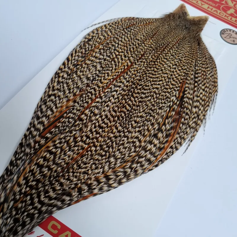 Whiting Bronze Grade Capes A B